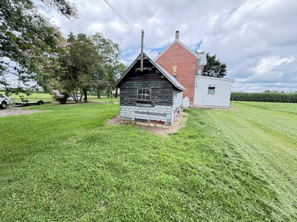 Overgrown lawn before mowing service