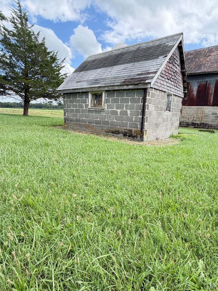 Tall, overgrown lawn before mowing service