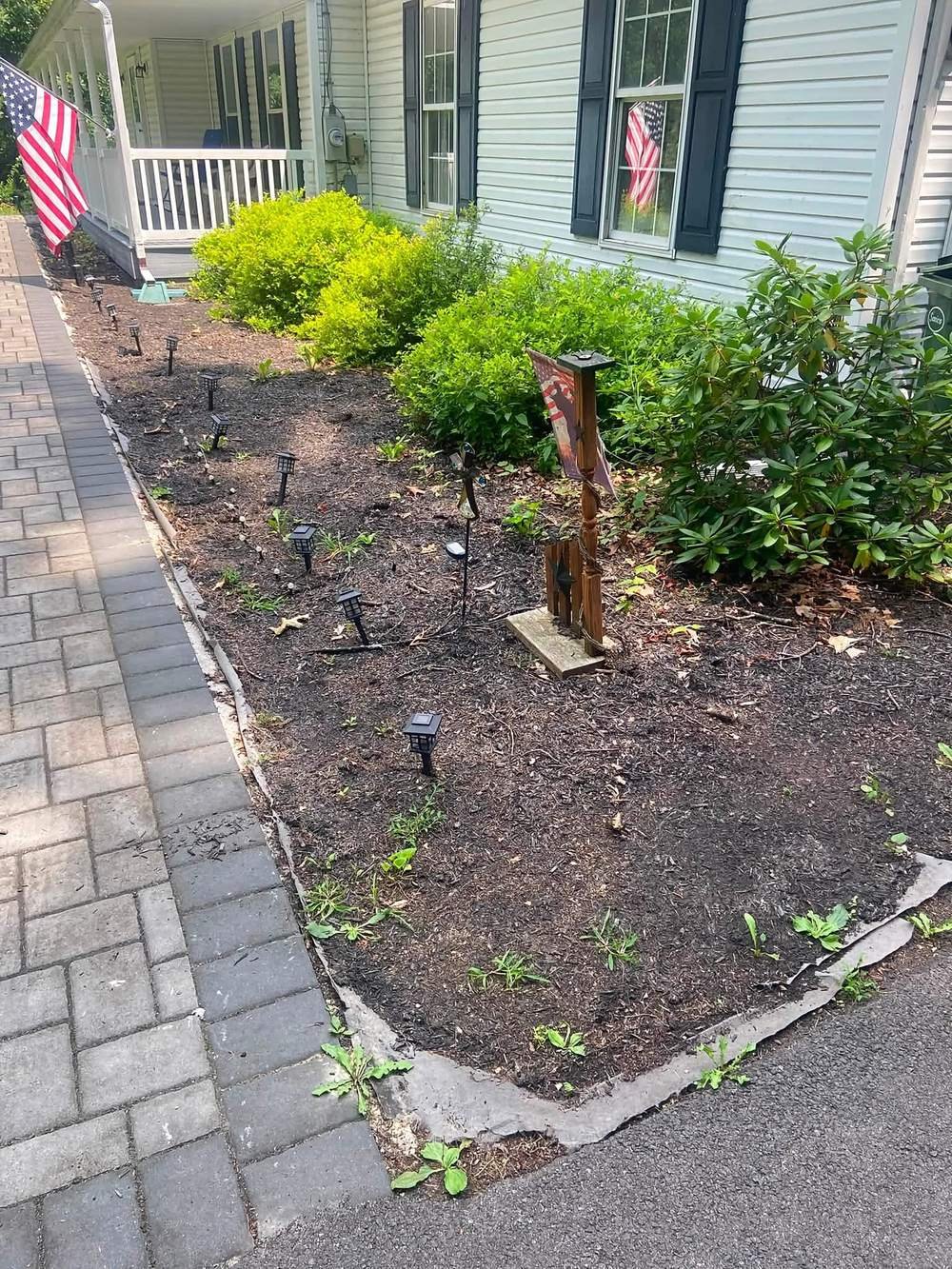 Garden bed with sparse old mulch and weeds before renovation