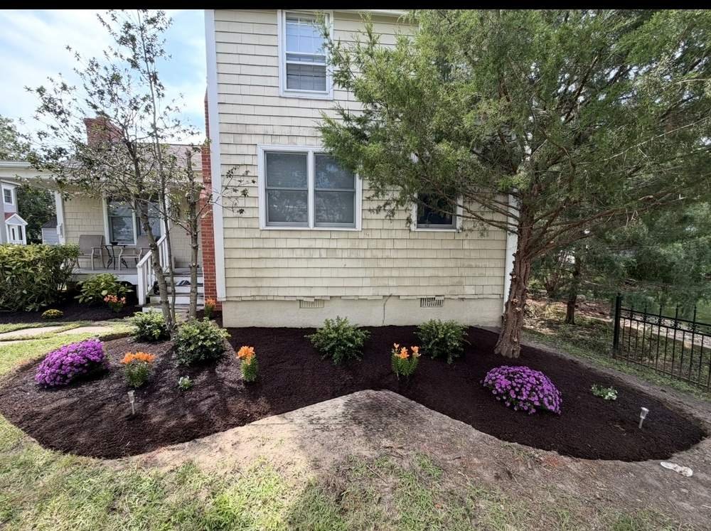 Cleared and mulched shrub bed after landscaping service